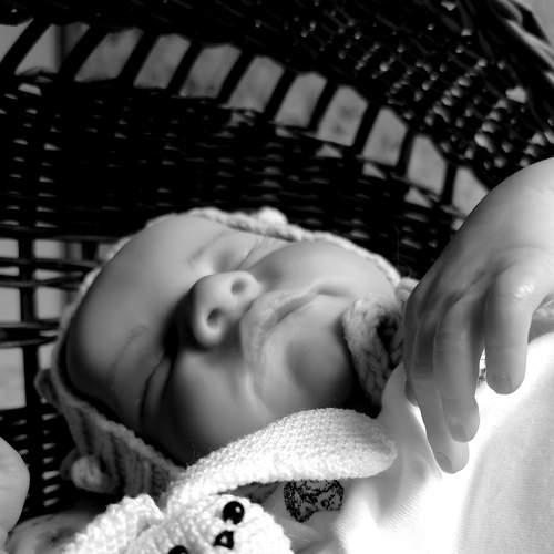 Photo #6846134