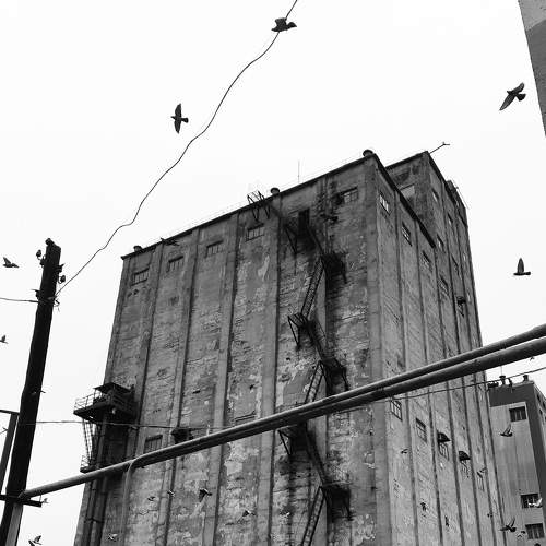 Photo #6846235