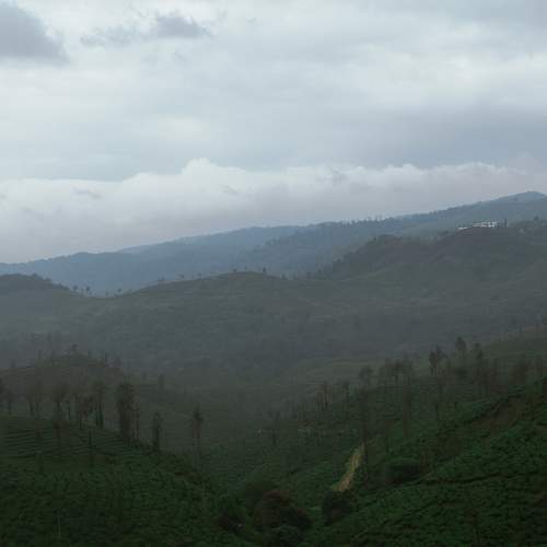 Photo #6846439