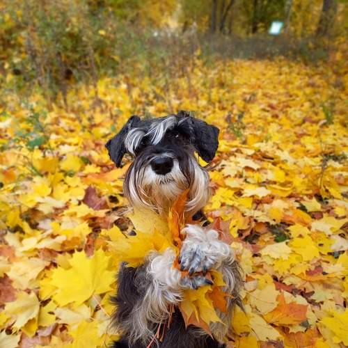 Photo #6846915