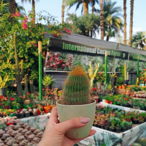 Photo #6847524