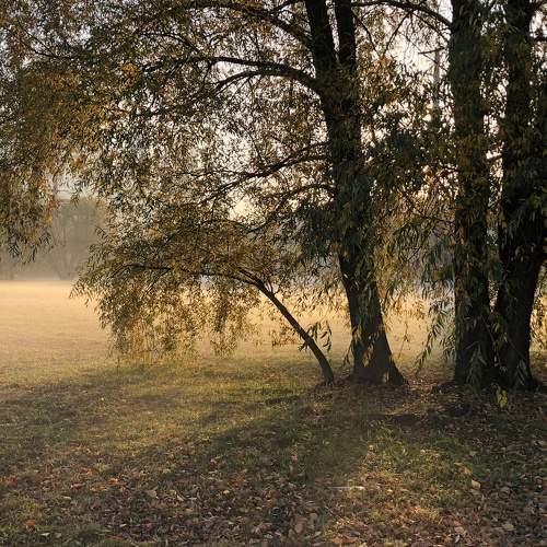 Photo #6847825