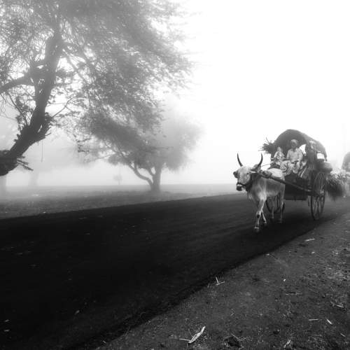 Photo #6848534
