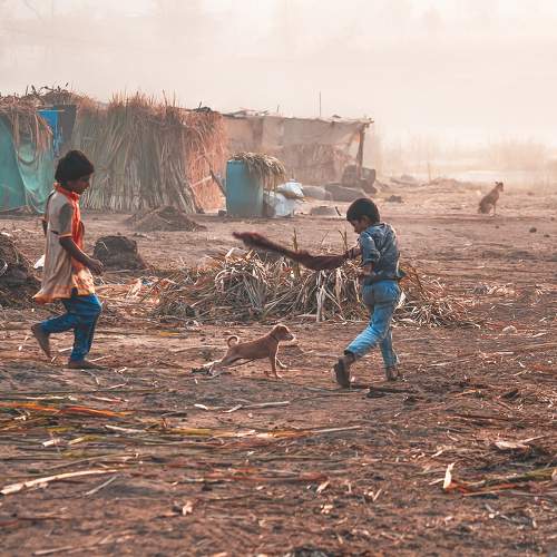 Photo #6848541