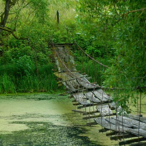 Photo #6848638