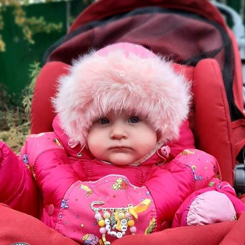 Photo #6849041