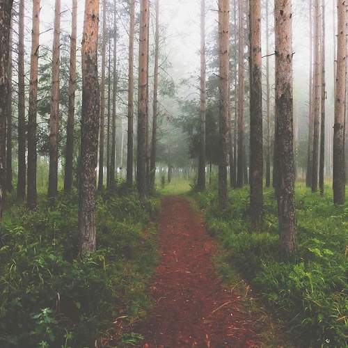 Photo #6849128