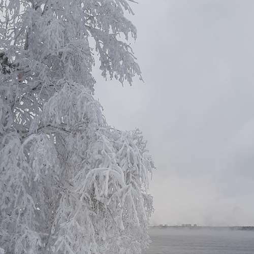 Photo #6849174
