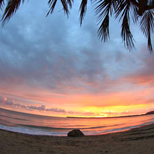 Photo #6849289