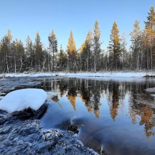 Photo #6849378