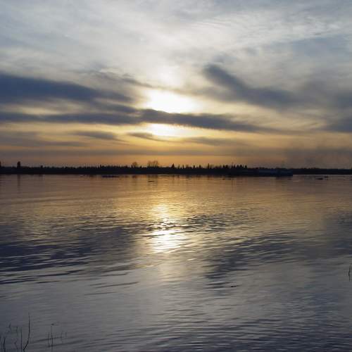Photo #6849440