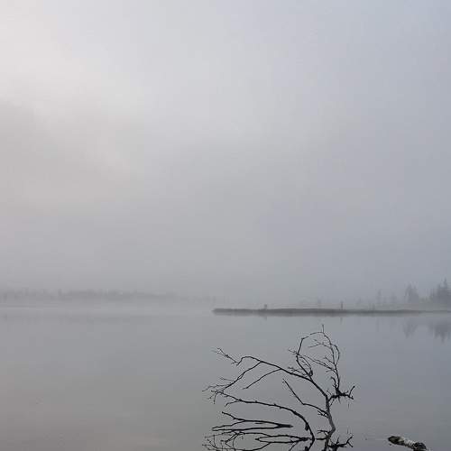 Photo #6849464