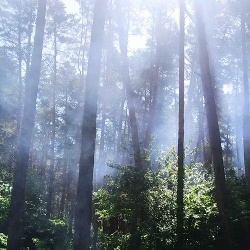 Photo #6849725