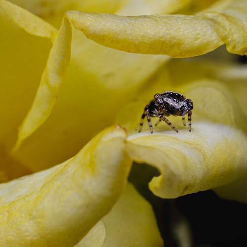 Photo #6849935