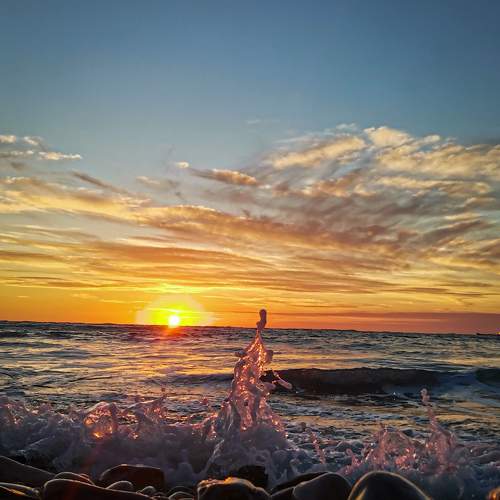 Photo #6850067