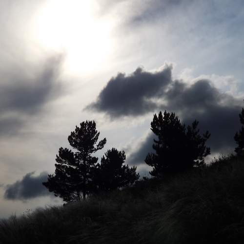 Photo #6850159