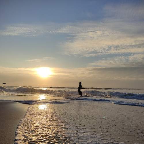Photo #6850239
