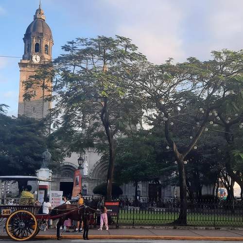 Photo #6850264