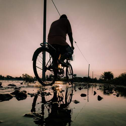 Photo #6850289