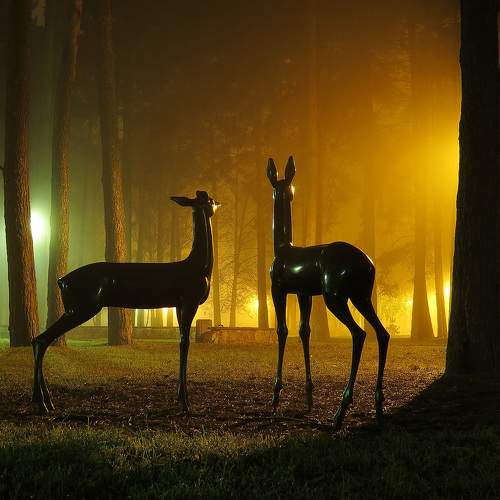 Photo #6850431
