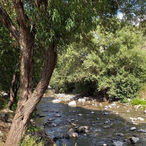 Photo #6850525