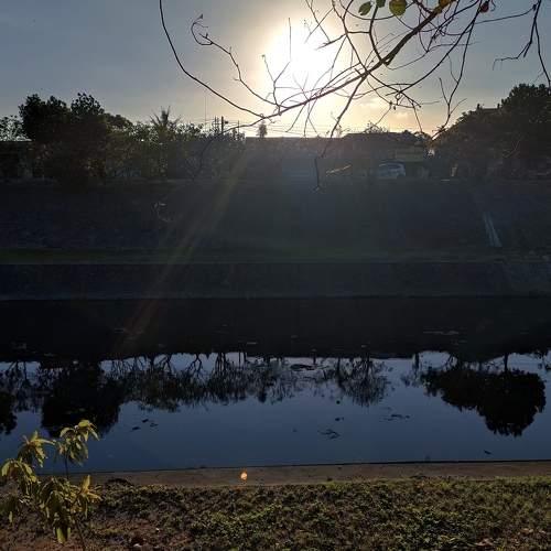 Photo #6850529