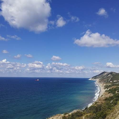 Photo #6850790