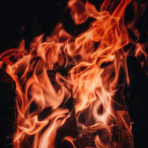 Photo #6850850