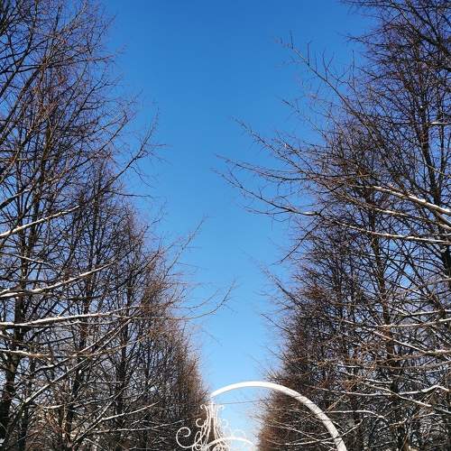 Photo #6850871