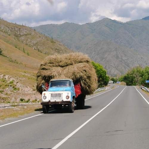 Photo #6851492