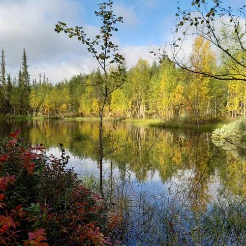Photo #6851752