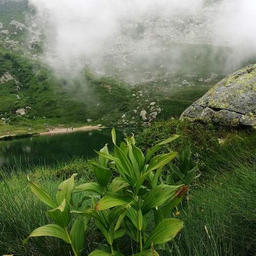 Photo #6851994