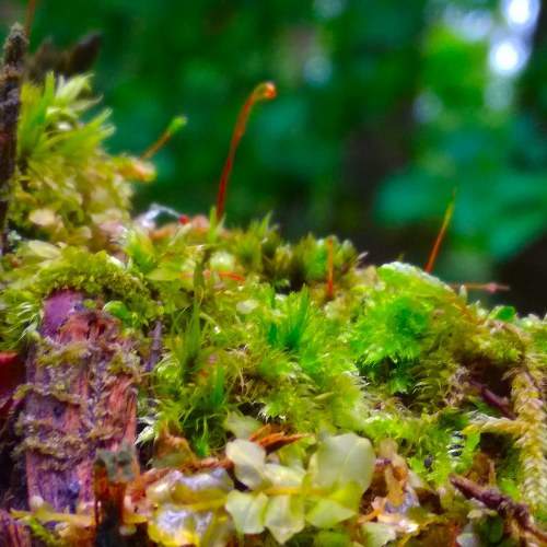 Photo #6852468