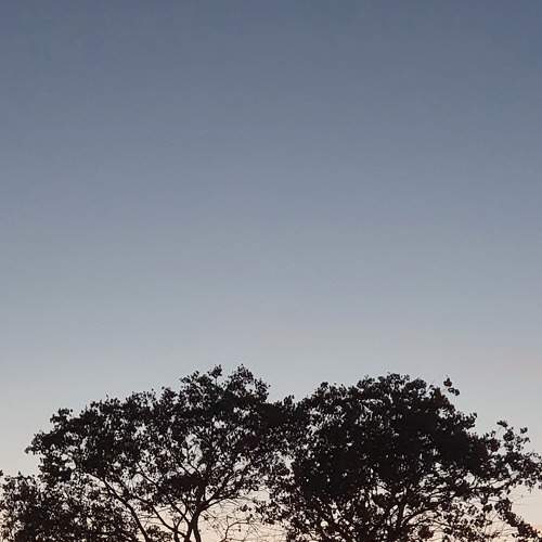 Photo #6852633