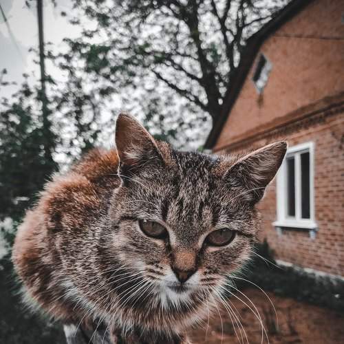 Photo #6853099