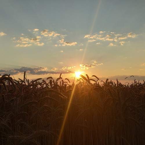 Photo #6853183