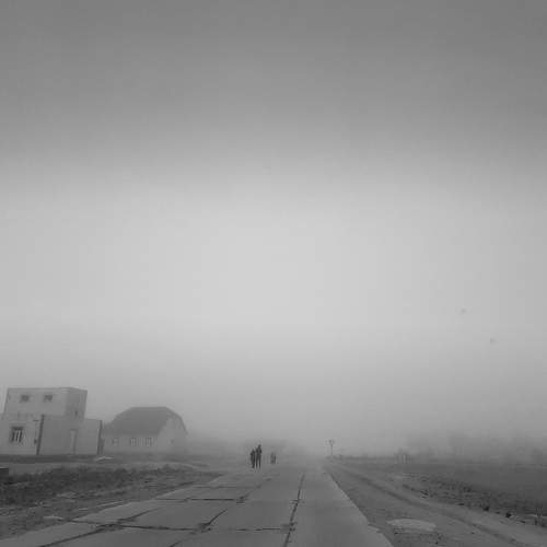 Photo #6853242