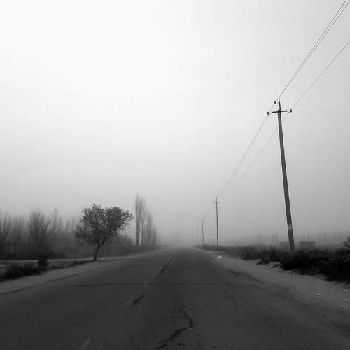 Photo #6853244