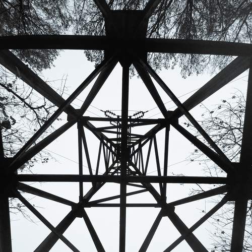 Photo #6853437