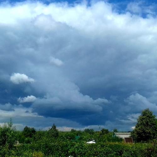 Photo #6854100