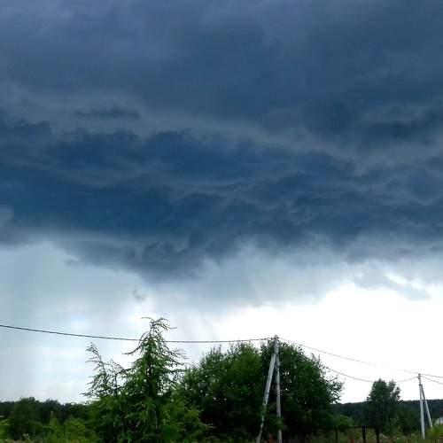 Photo #6854101
