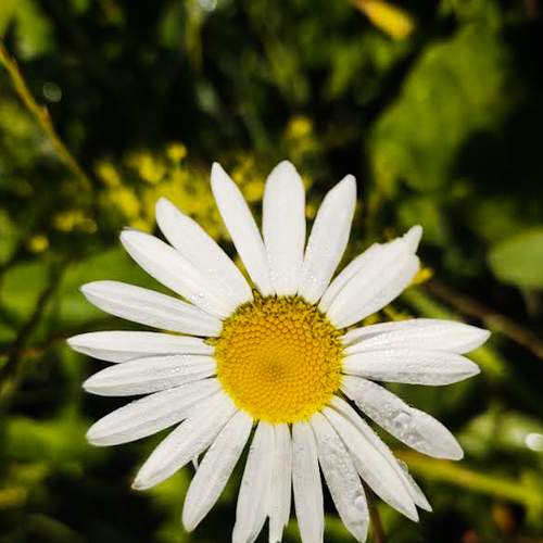 Photo #6854297