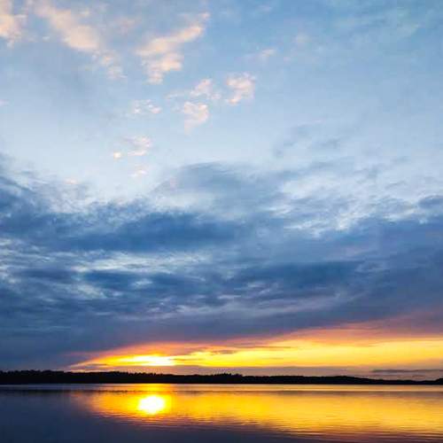 Photo #6854310