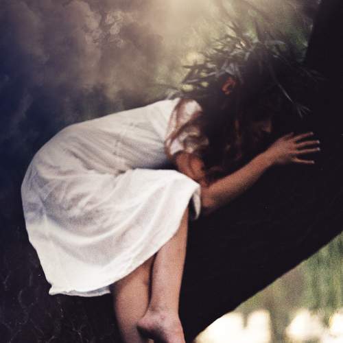 Photo #6854820