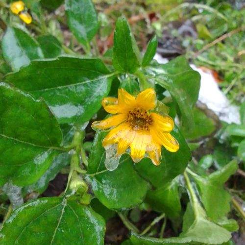 Photo #6855513