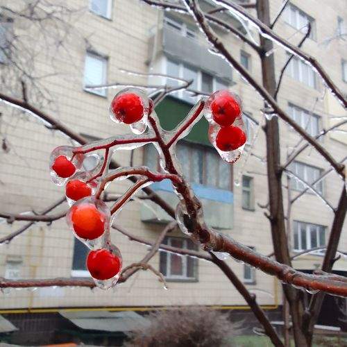 Photo #6855516