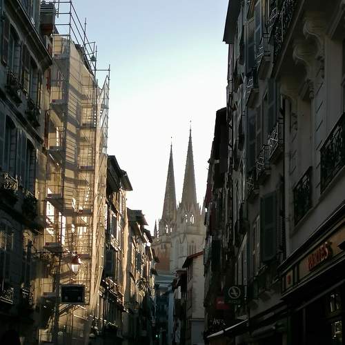 Photo #6855641