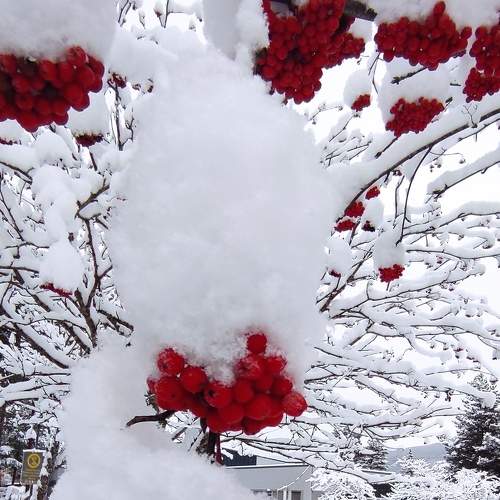 Photo #6855716