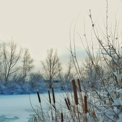 Photo #6855762