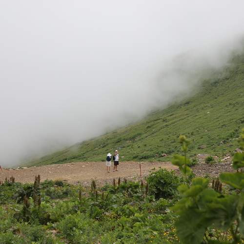 Photo #6855799